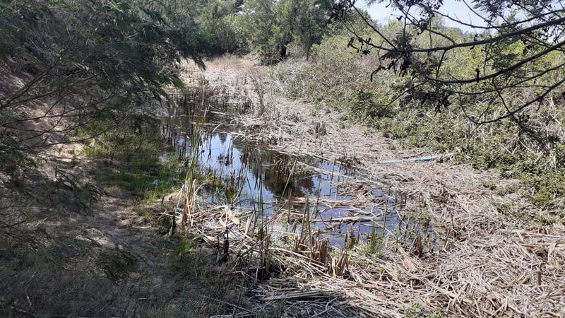 0 Bedroom Property for Sale in Albertinia Western Cape